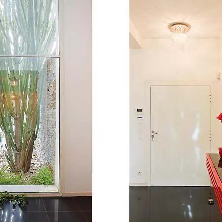 Villa Californienne D'exception Avec Piscine Rouge A Antibes